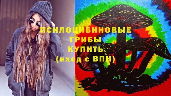 СК Санкт-Петербург