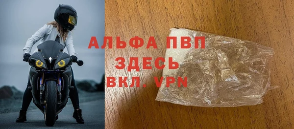 СК Санкт-Петербург