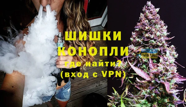 каннабис Ессентукская